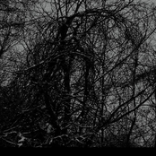 Dark Offering II - From the Ashes of My Ghostly Beloved...