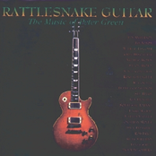 The Music of Peter Green Disk