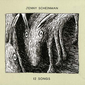 Jenny Scheinman: 12 Songs