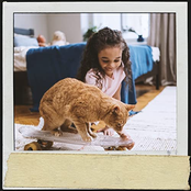 Cat and Dog Music Place: Ruhige und entspannte Pfoten