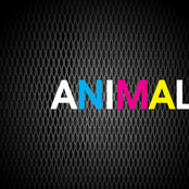 Animal(in the style of Neon Trees)