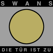 Soundsection by Swans