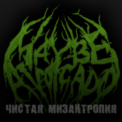 Чистая мизантропия (Single)