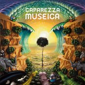 album