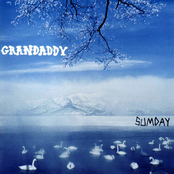 The Go In The Go-for-it by Grandaddy