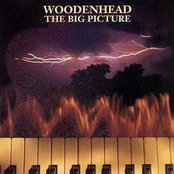 Woodenhead: The Big Picture
