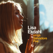 Sun Rose by Lisa Ekdahl