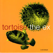 the ex, tortoise