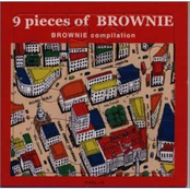 9 pieces of BROWNIE