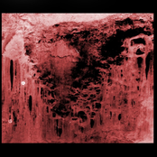 For Those Who Love To Cause Pain