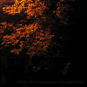 This Is What It Sounds Like When Drones Cry