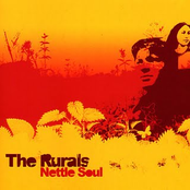 nettle soul