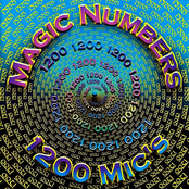 Magic Numbers Album Picture
