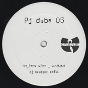 Pj Bridger - Pj Dubs 05