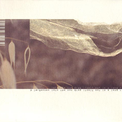 Lets The Sun Drag Itself Out In A Long Ray