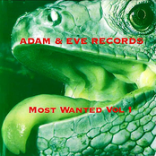 Adam & EVE Records - Most Wanted VOL 1