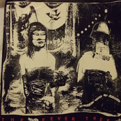 The Pixie Shop In Boscastle