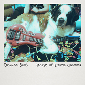 House of Leaves (Me Alone)