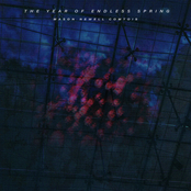 The Year of Endless Spring