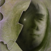 Blueberry Capital of the World