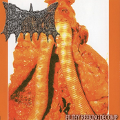 Bradyurethrorrhoea / Filthy Reeking Decomp