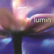 Allium by Lumin