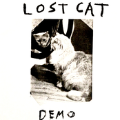 lost cat