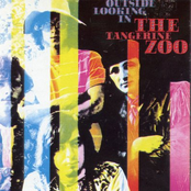 Outside Looking Inside