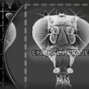 enichkin project