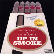 Up in Smoke