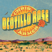 Ocotillo Rose