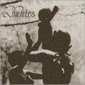 It Could All Have Vanished