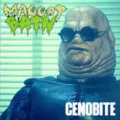 Cenobite
