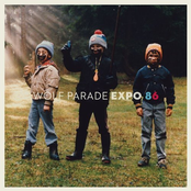 Little Golden Age by Wolf Parade