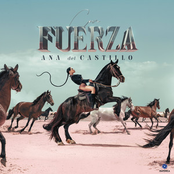 Con Fuerza