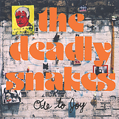 Oh My Bride by The Deadly Snakes