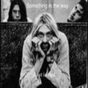 Something In the Way - Single