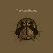 Politics & Cigarettes by The Voom Blooms