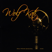Wolf-áramlat