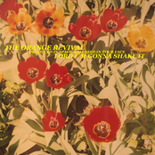 Lord i´m gonna shake it