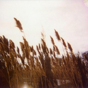 Memoriae / 2001 - 2005