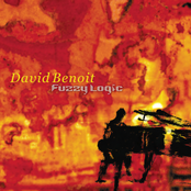 David Benoit: Fuzzy Logic