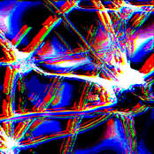Synapse