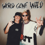 World Gone Wild (feat. Sam Martin) - Single