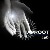 Dragged Down by Taproot