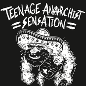 teenage anarchist sensation