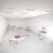 Who Can Pave The Ocean For Me?