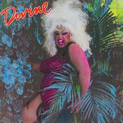 Shoot Your Shot by Divine