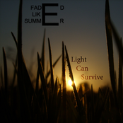 Light Can Survive