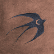 Errante